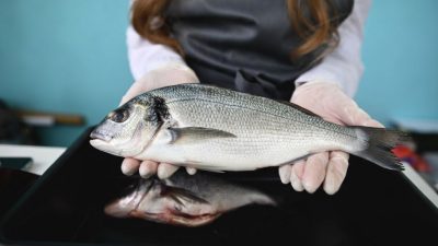 La genetica conferma il suo ruolo come uno degli investimenti più redditizi per l’acquacoltura mediterranea
