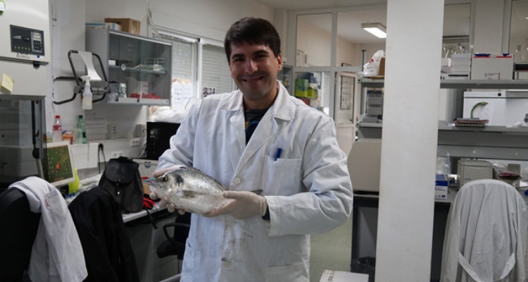 dorada-progensa-iii-mejora-genetica-investigador-muestreo
