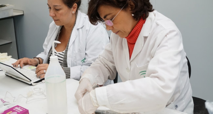dorada-progensa-iii-mejora-genetica-investigadoras-muestreando dorada-progensa-iii-mejora-genetica-investigadoras-muestreando