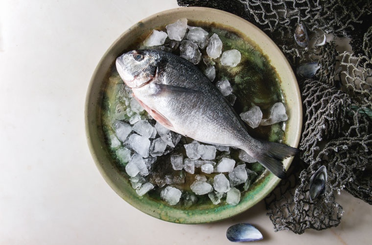 Dorada sobre hielo con red de pesca Dorada sobre hielo con red de pesca