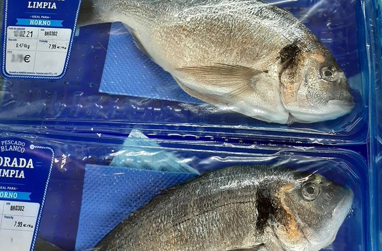 Soluciones innovadoras para el transporte de pescado fresco