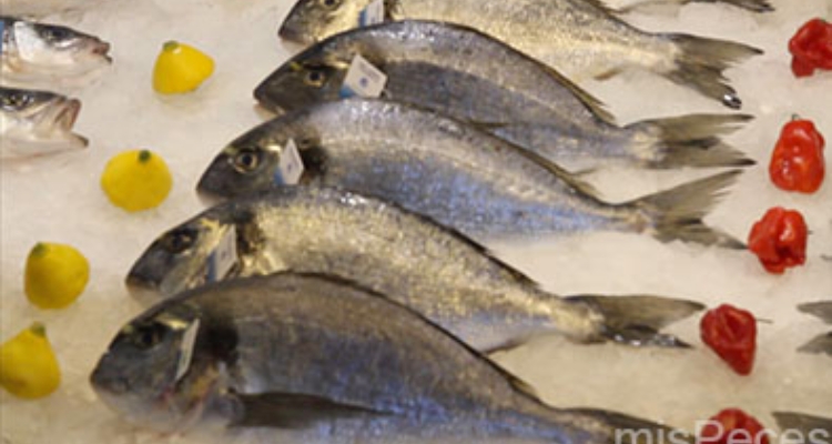 doradas-hellenic-fish-farming