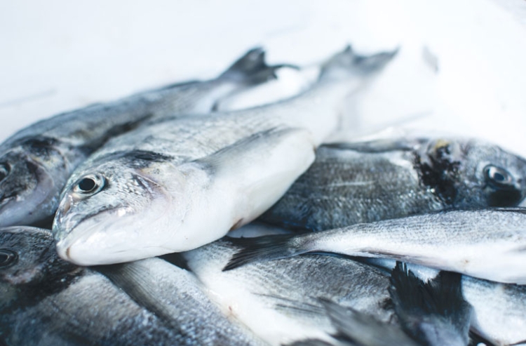 doradas-pescado-mediterraneo-760