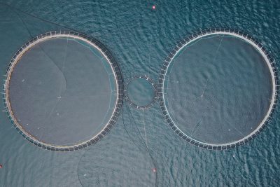 La acuicultura europea sigue sin encontrar la vía que le permite aumentar el espacio para producción