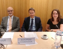 Recomendaciones del Consejo Asesor de Acuicultura europeo sobre vacunas, FiFo, sacrificio y competencia turca