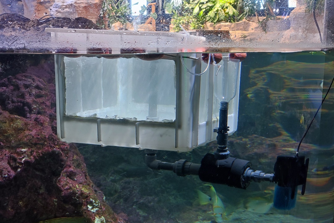 ECOAQUA - Acuiario de Génova