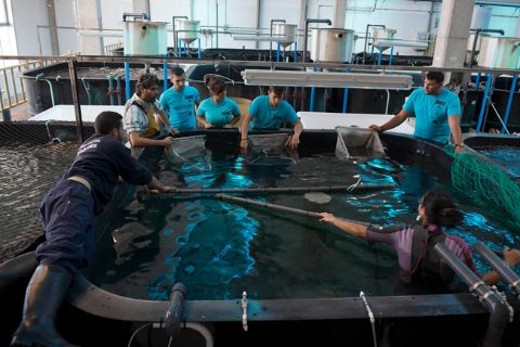 ecoaqua-centro-investigacion