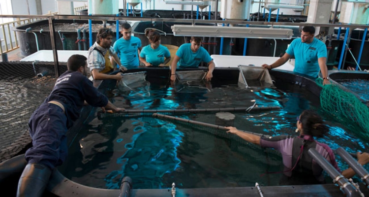 ecoaqua-centro-investigacion ecoaqua-centro-investigacion