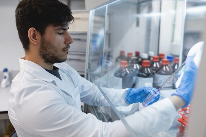 Un probiótico experimental elevó la supervivencia de lubinas frente a un desafío con Vibrio