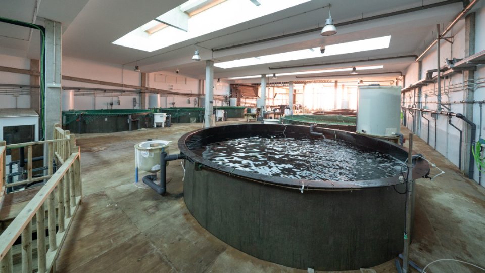 Instalaciones de acuicultura ULPGC
