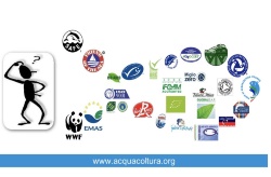 En un océano de etiquetas sostenibles, cada vez más consumidores consideran que deberían ser obligatorias