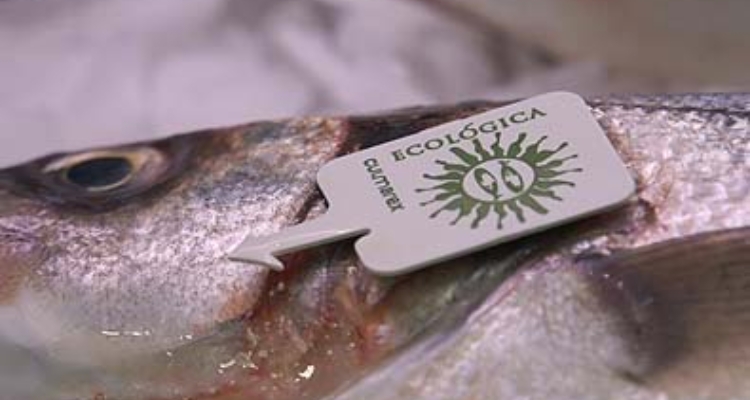 ecologica_culmarex