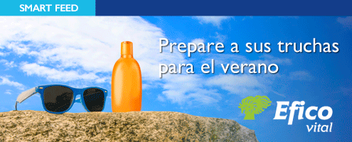 Efico Vital BioMar - Prepare a sus truchas para el verano