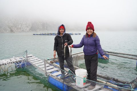 ejemplares-trucha-laguna-chuchun-canta-lima