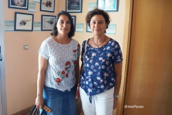 Las doradas de alto crecimiento de Progensa III pueden desarrollar una mejor respuesta inmune bacteriana