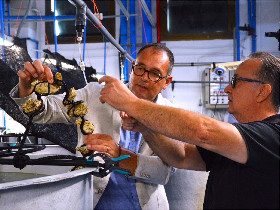 Enric Gisbert en instalaciones de acuicultura del IRTA