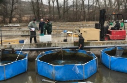 Finalizan los ensayos del Proyecto para la producción de piensos ecológicos