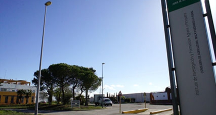 entrada-ifapa-toruno
