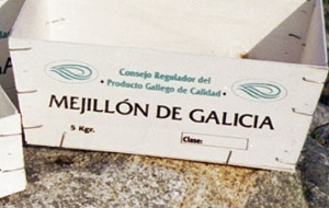 Mejill&oacute;n de Galicia