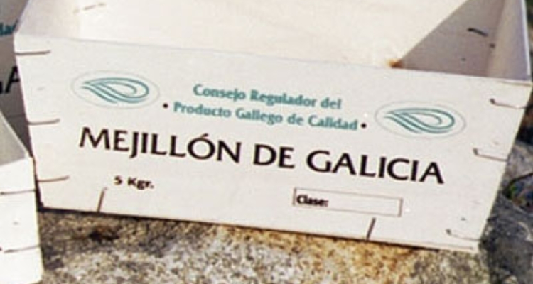 Mejillón de Galicia
