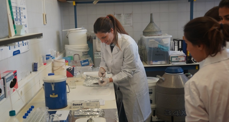 eppo-ipma-curso-herramientas-moleculares-acuicultura-catarina-760 eppo-ipma-curso-herramientas-moleculares-acuicultura-catarina-760