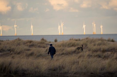 Parque eólico EQUINOR frente a la costa