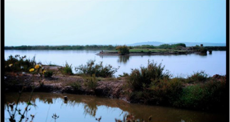 espacio-natural-marismas