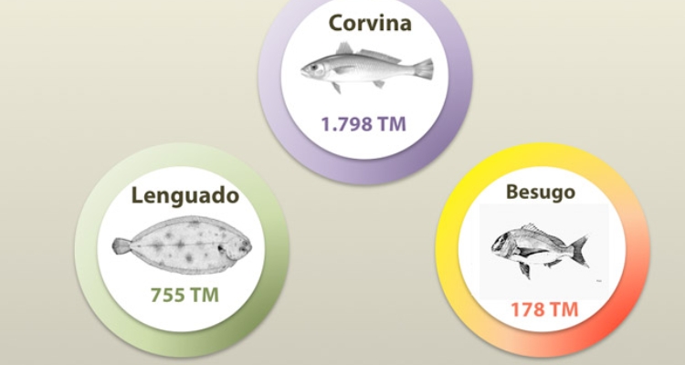 Especies menores de la acuicultura española 2016