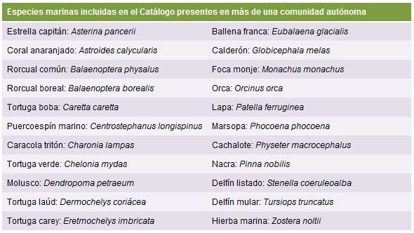 especies_marinas_amenazadas_oceana
