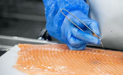 espina-salmon
