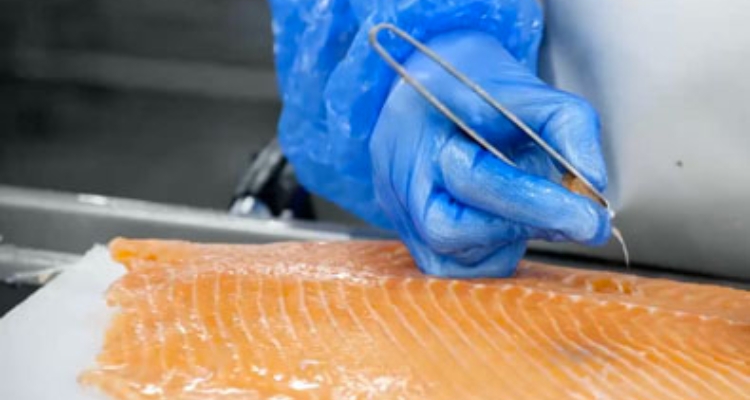 Desespinado de salmón