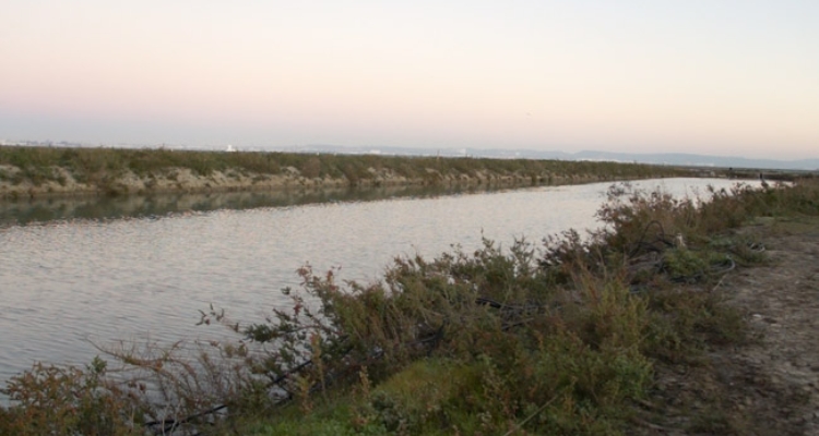 estanque-estero-bahia-cadiz