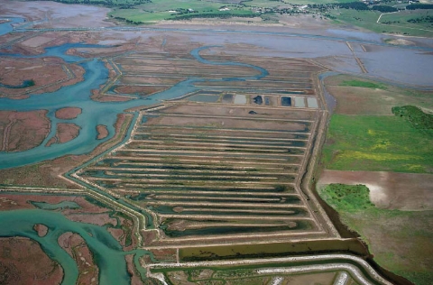 Estero en Barbate