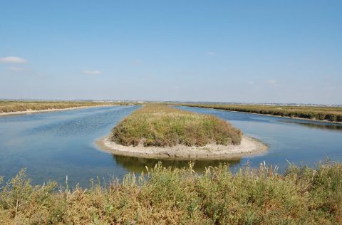 Estero de Cádiz en Andalucía