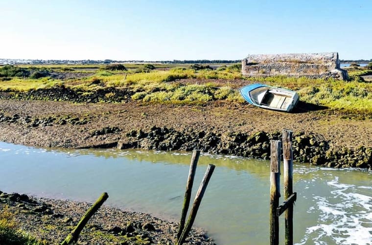 Estero San Fernando Estero San Fernando