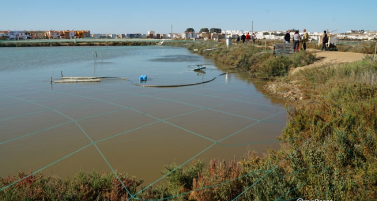 estero-sistema-aireacion estero-sistema-aireacion