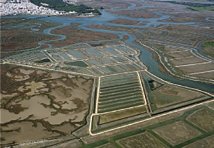 estero-vista-aerea