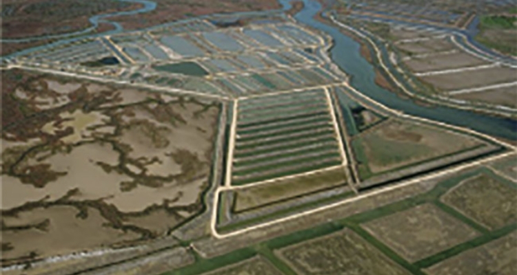 estero-vista-aerea