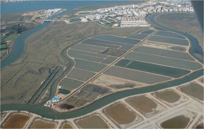 ¿Cuándo se dará a conocer la persona que ejercerá de director o directora de Pesca y Acuicultura en Andalucía?