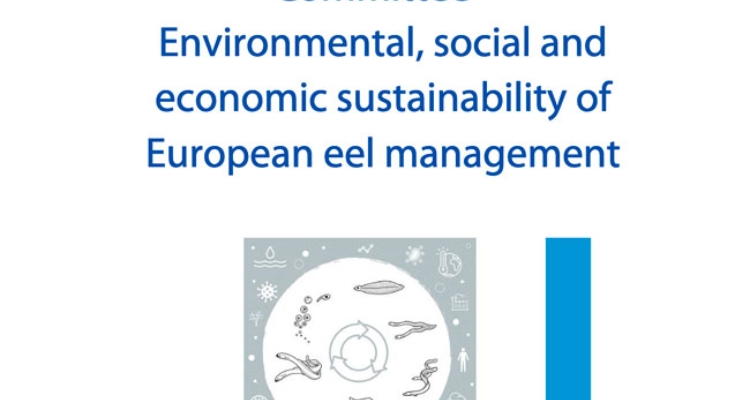 estudio-comite-europeo-anguila-europea