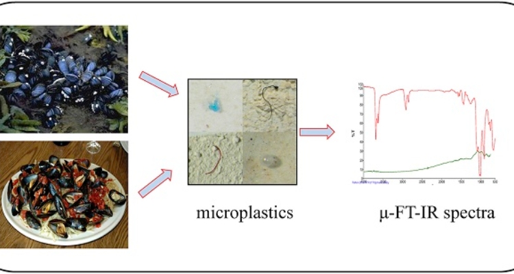 estudio-microplasticos-mejillon