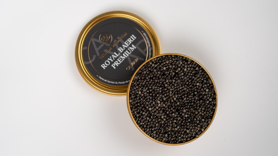 Caviar de Esturión de Sarrión en lata