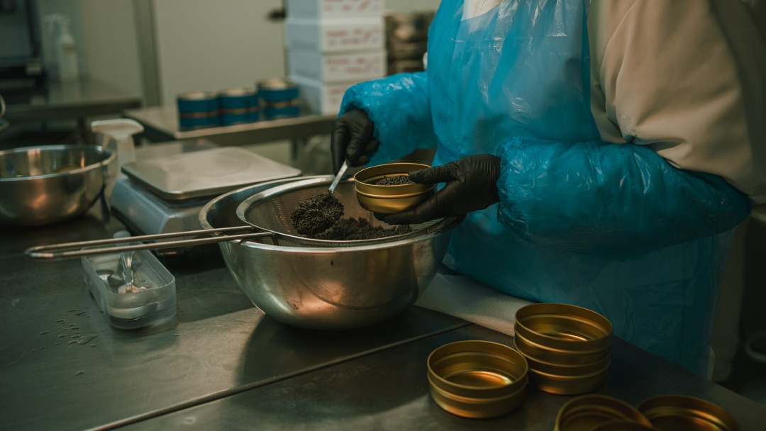 Esturión Sarrión | Envasando caviar