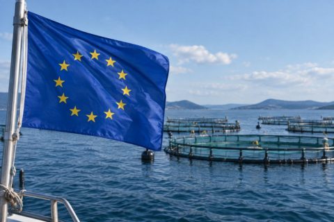 La acuicultura queda fuera del Estado de la Unión y el sector lleva sus demandas a la estrategia europea 2040