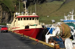 EUMOFA publica un informe sobre el mercado de la harina y aceite de pescado en la UE