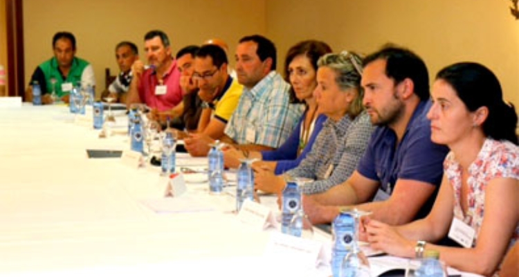 expertos-proyecto-euroshell