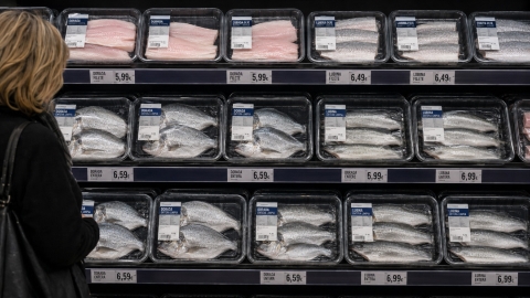 Expositor de dorada y lubina en supermercado
