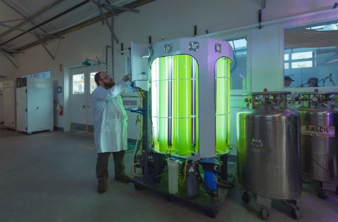 Exxonmobil fotobiorreactor de microalgas