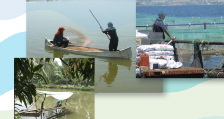 fao-caratula-informe-fcr-acuicultura-efecto-invernadero