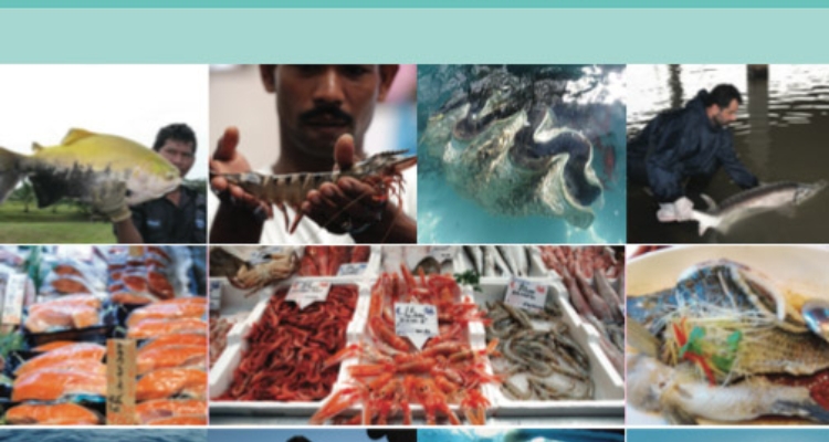 fao-prevision-2020-brecha-oferta-demanda